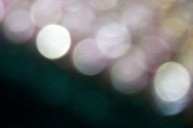 Similar image 1476374