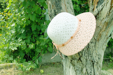 Similar image 1476643