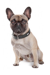 Similar image 1476938