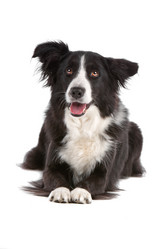 Similar image 1476940