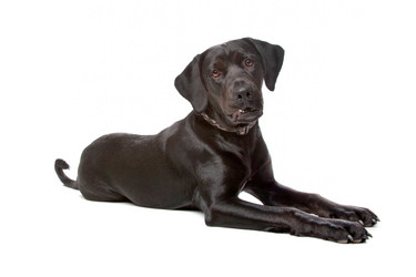 Similar image 1476946