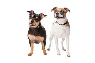 Similar image 1476951