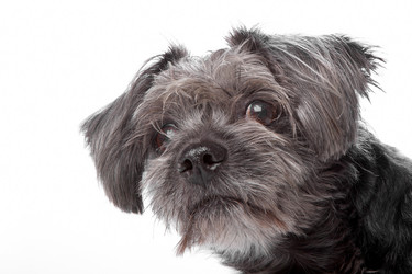 Similar image 1476967