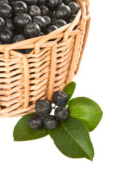 Similar image 1477535