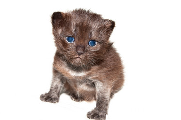 Similar image 1477537