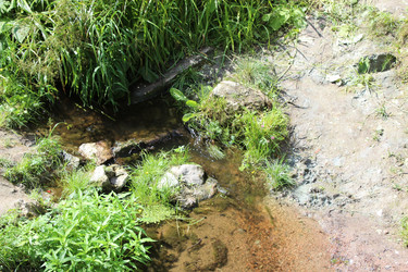 Similar image 1477631