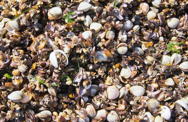 Similar image 1477654