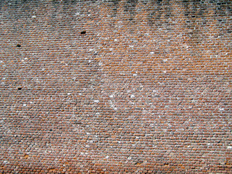 Similar image 1477701