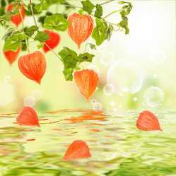 Similar image 1477897