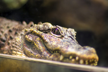 Similar image 1478212