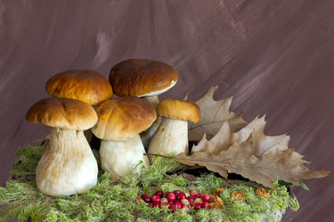 Similar image 1478246