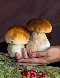 Similar image 1478247