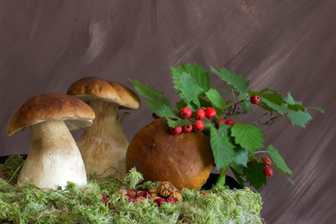 Similar image 1478248