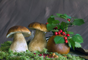 Similar image 1478249