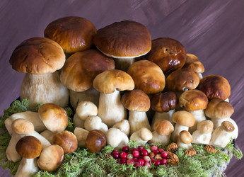 Similar image 1478251