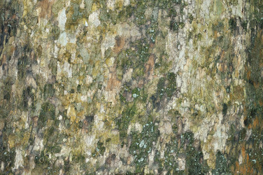 Similar image 1478256