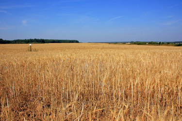 Similar image 1478261