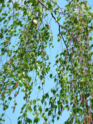 Similar image 1478270