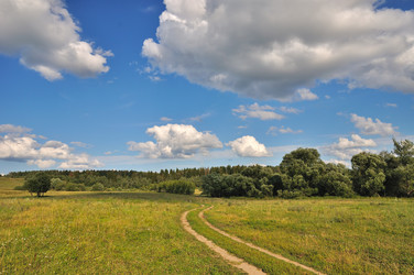 Similar image 1478294