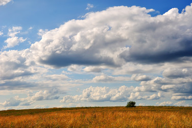 Similar image 1478295