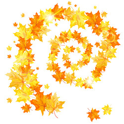 Similar image 1478356