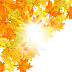 Similar image 1478357