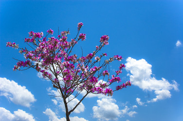 Similar image 1478363