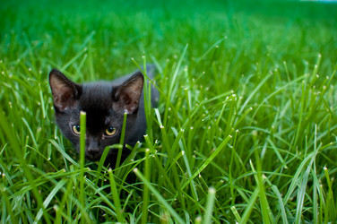 Similar image 1478366