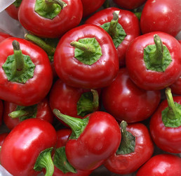 Similar image 1478505