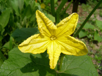 Similar image 1478576