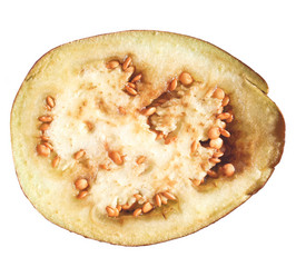 Similar image 1478579