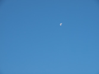 Similar image 1478592