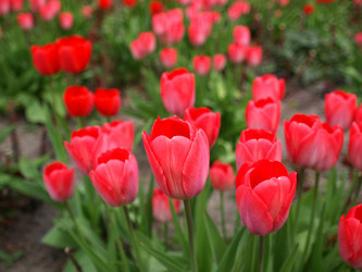 Similar image 1478655