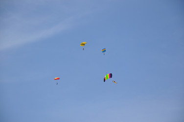 Similar image 1478831