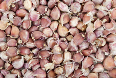 Similar image 1479334