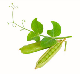 Similar image 1479381