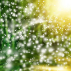 Similar image 1480072