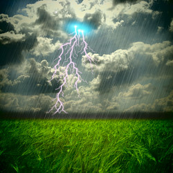 Similar image 1480085