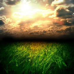 Similar image 1480132