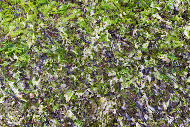 Similar image 1481138