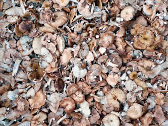 Similar image 1481139