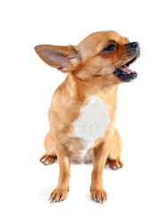 Similar image 1481161