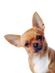 Similar image 1481162