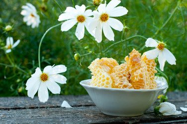 Similar image 1481174