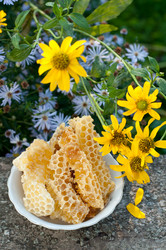 Similar image 1481175