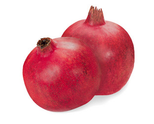 Similar image 1481185