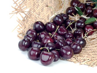 Similar image 1481200