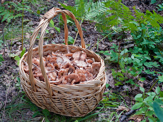 Similar image 1481206