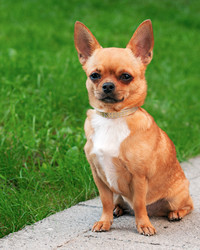 Similar image 1481731