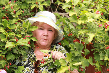 Similar image 1482364